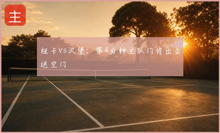 纽卡vs汉堡:第4分钟主队门将出击送空门